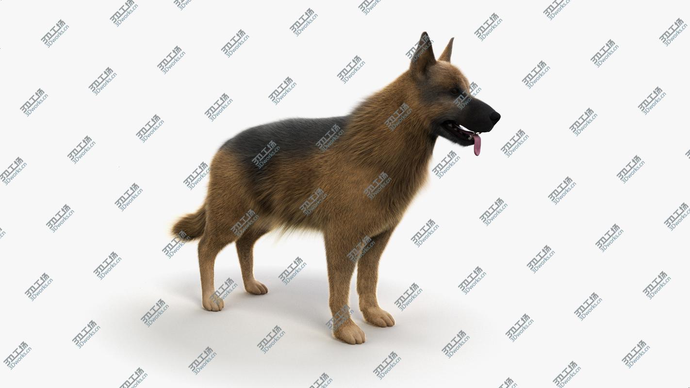 images/goods_img/2021040163/Dog Skin And Skeleton 3D/4.jpg